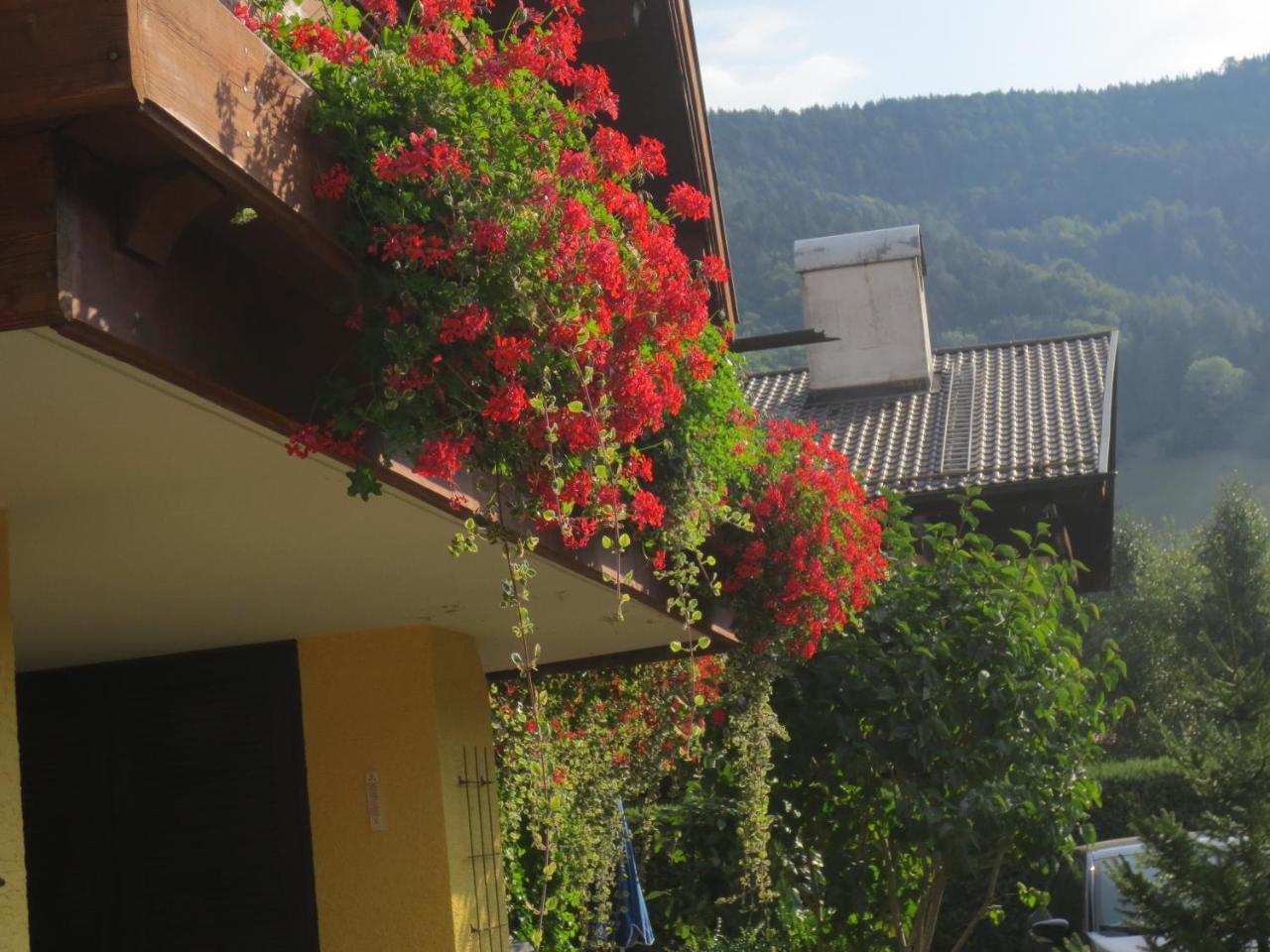 Hotel Alp Inn - Chiemgaukarte Inclusive Ruhpolding Ngoại thất bức ảnh